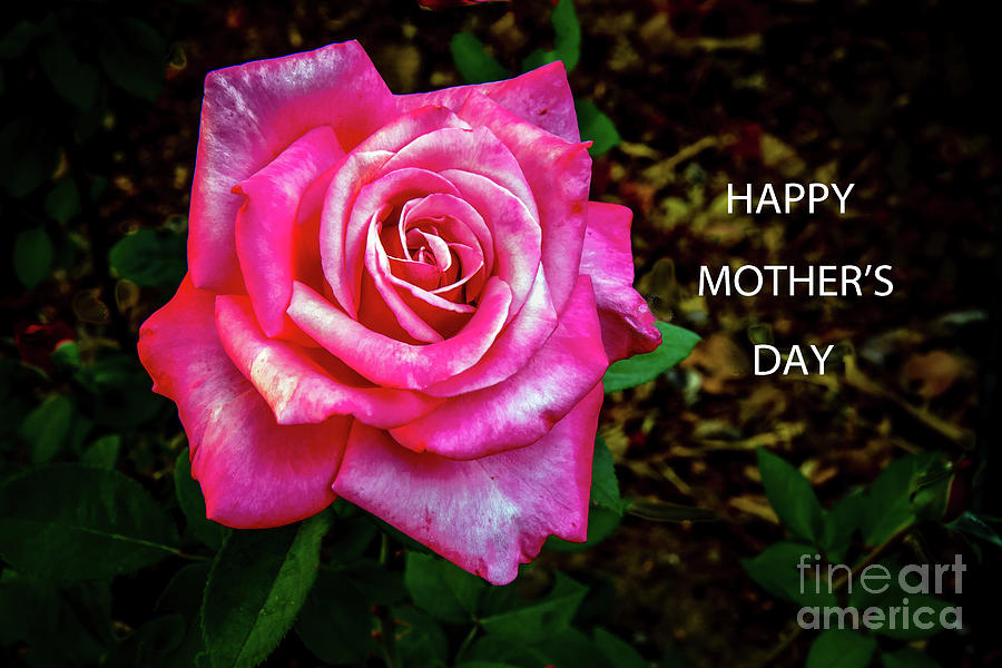 Happy Mothers Day #1 Photograph by Robert Bales
