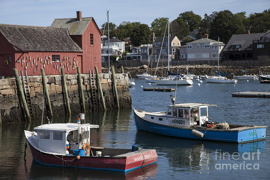 Harbor Boats #1 Photograph by Timothy Johnson