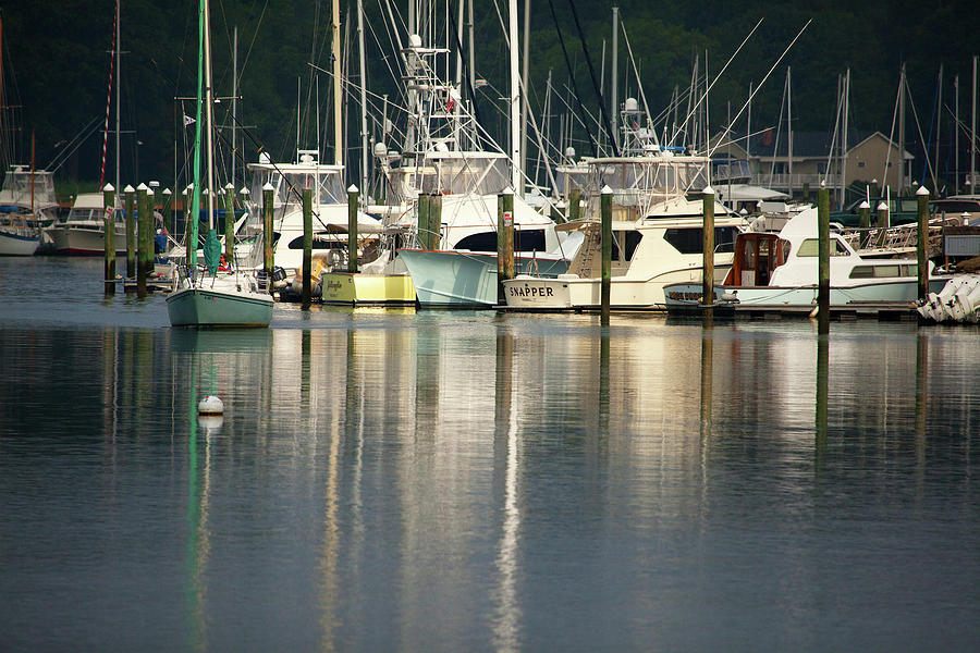 Harbor Reflections #2 Photograph by Karol Livote