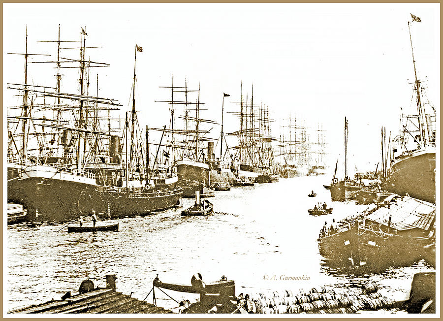 Harbor with Ships, Hamburg, Germany, 1903 #1 Photograph by A Macarthur Gurmankin