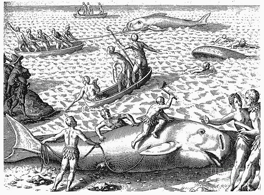 HARPOONING WHALES, c1590 Photograph by Theodor de Bry
