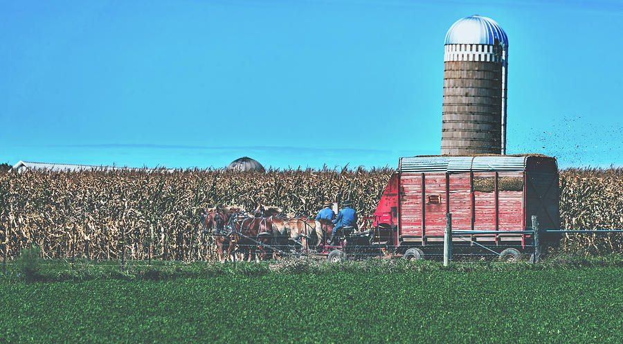 Fall Photograph - Harvest In Amish Country - Elkhart County, Indiana #1 by Mountain Dreams