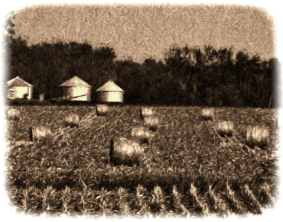 Harvest #1 Photograph by John Freidenberg