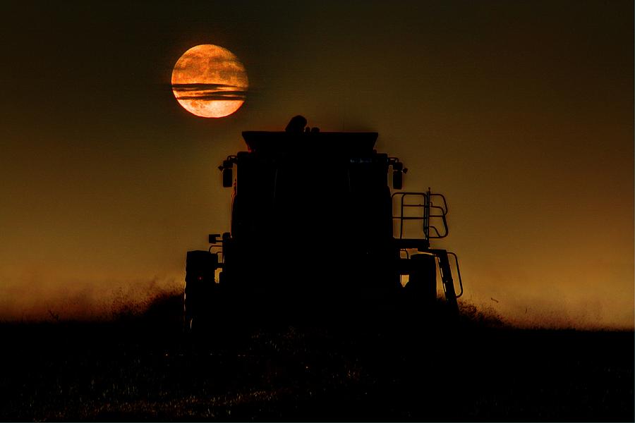 Harvest Moon #1 Photograph by David Matthews