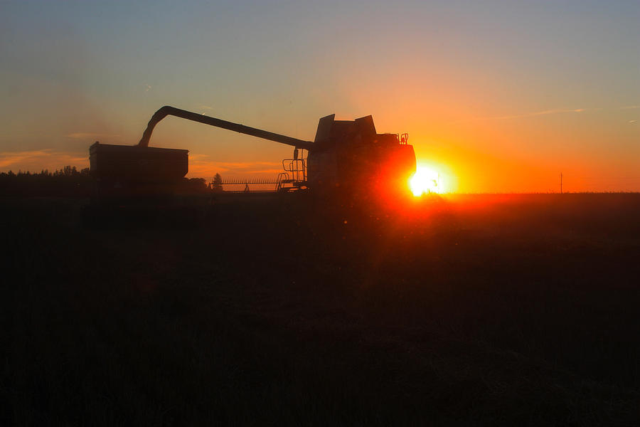 Harvest Sun #1 Photograph by David Matthews