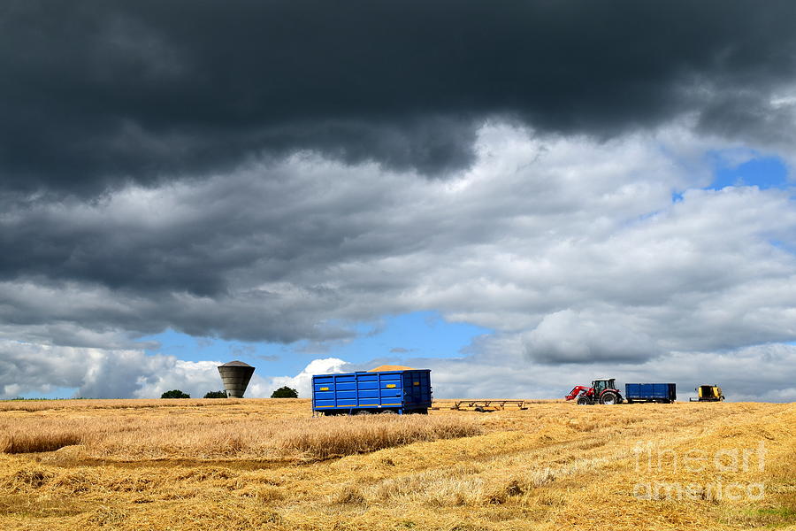 Harvest time #1 Photograph by Joe Cashin