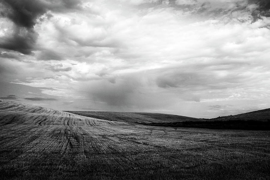 Landscape Photograph - Spain, Meseta Central - Harvested wheat field by Fabrizio Troiani