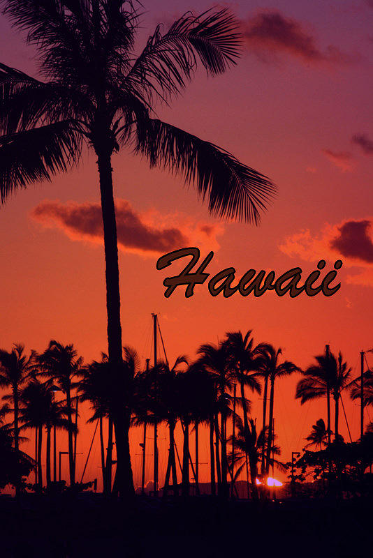 Hawaii #1 Photograph by Mary Braun - Fine Art America