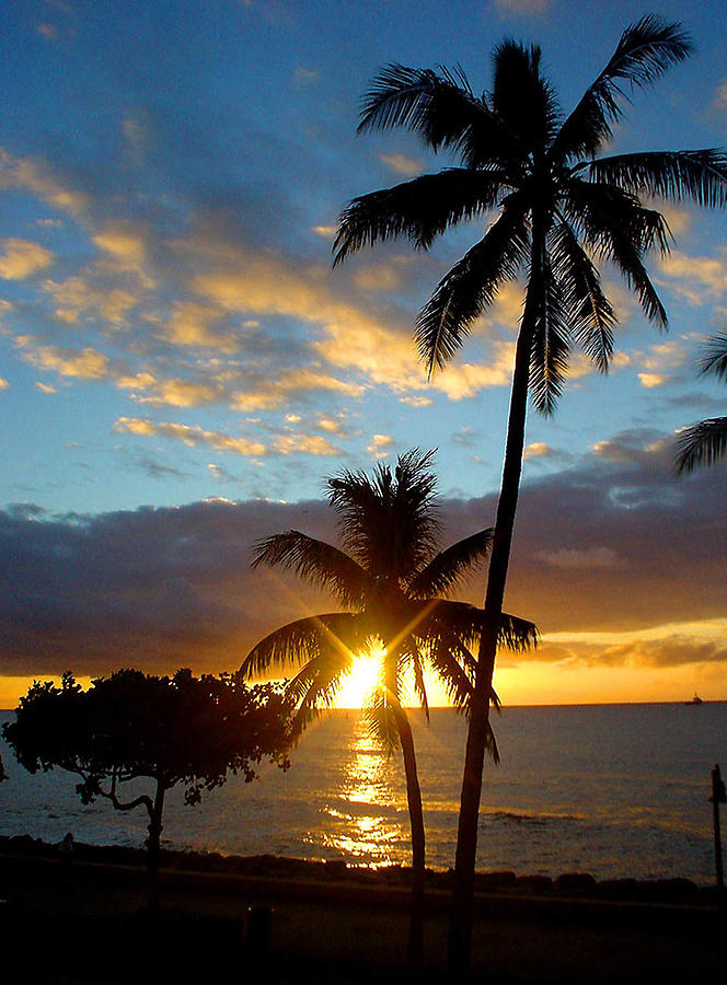 Hawaii Sunset Photograph by Tommy Anderson - Fine Art America