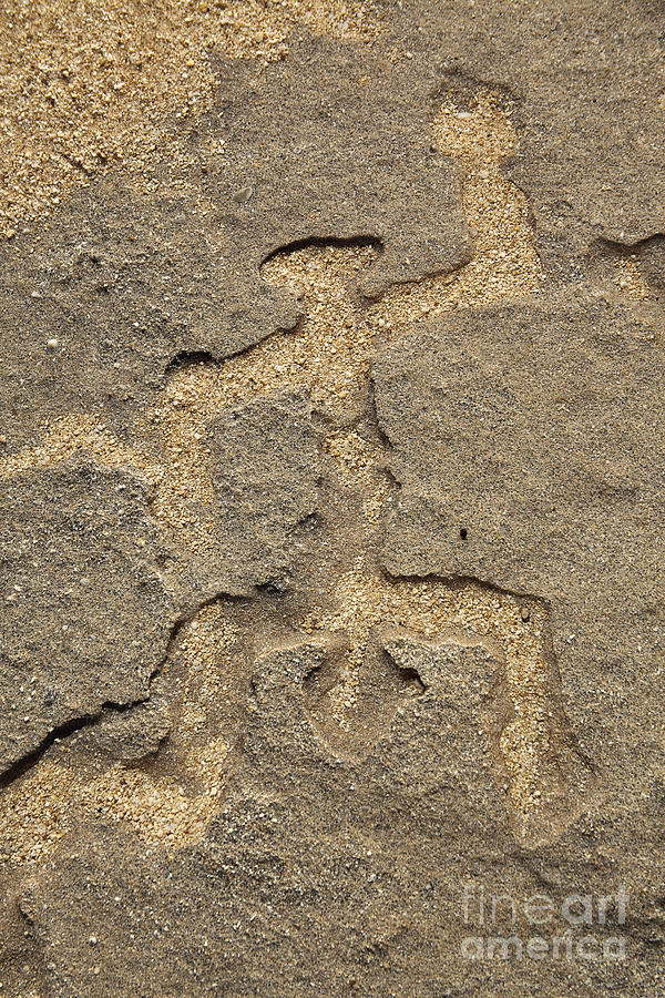 Hawaiian Petroglyph #1 Photograph by Vince Cavataio - Printscapes