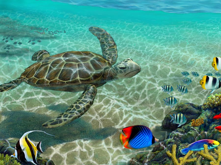 Hawaiian Sea Turtle Painting by Stephen Jorgensen