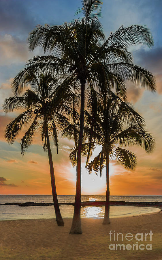 Hawaiian sunset by Andrea Shuttleworth Hawaiian sunset by Andrea Shuttleworth