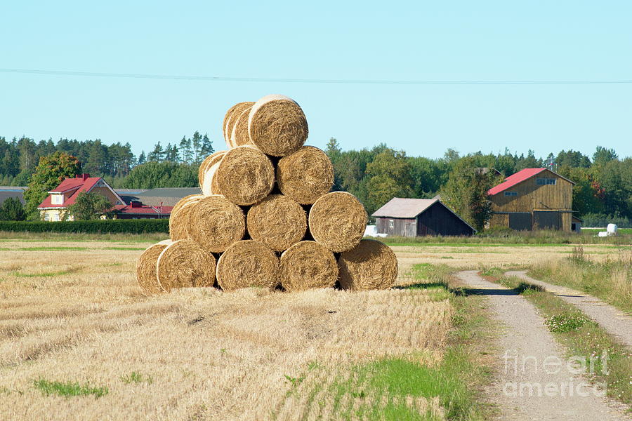 Hay bales #3 Photograph by Esko Lindell