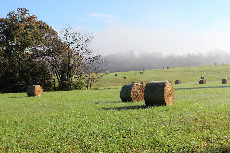 Hay Bales in a Missouri field on a sunny and foggy morning #2 Photograph by Adam Long