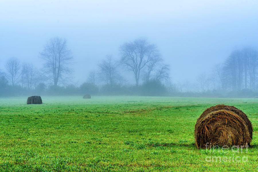 Hay Bales in Fog #1 Photograph by Thomas R Fletcher