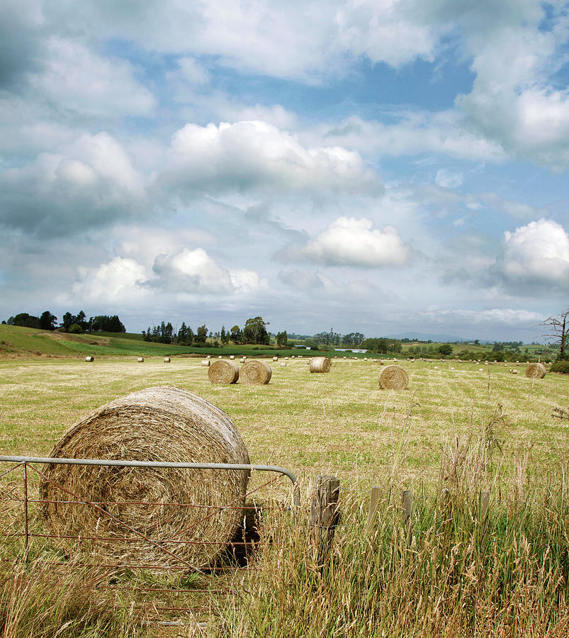 Hay bales 5 Photograph by Les Cunliffe