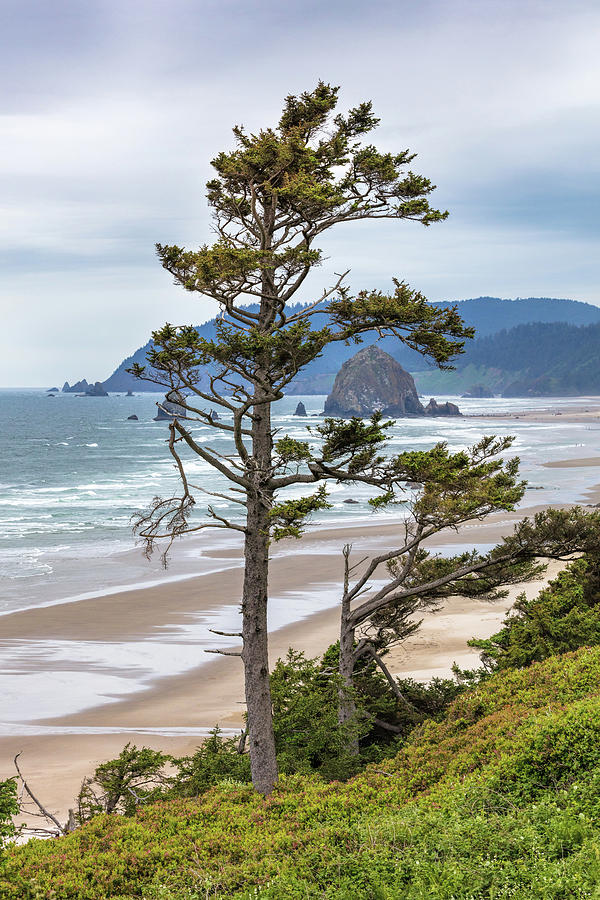 Haystack Rock Cannon Beach #1 Photograph by Mike Centioli