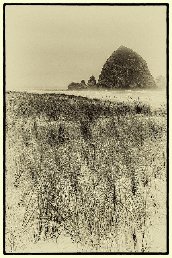 Landscape Photograph - Haystack Rock on Cannon Beach #1 by David Patterson