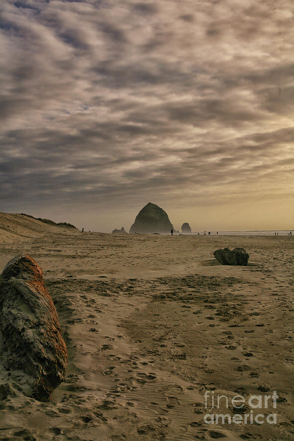 Haystack Rock #1 Photograph by Timothy Johnson