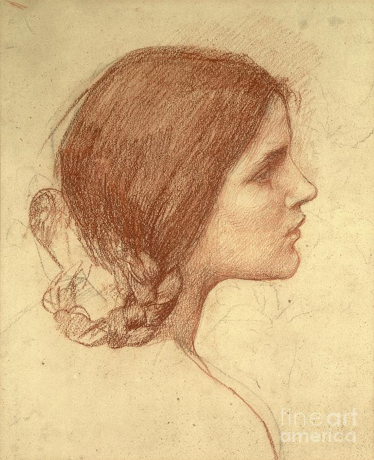 Waterhouse Drawing - Head of a Girl by John William Waterhouse by John William Waterhouse