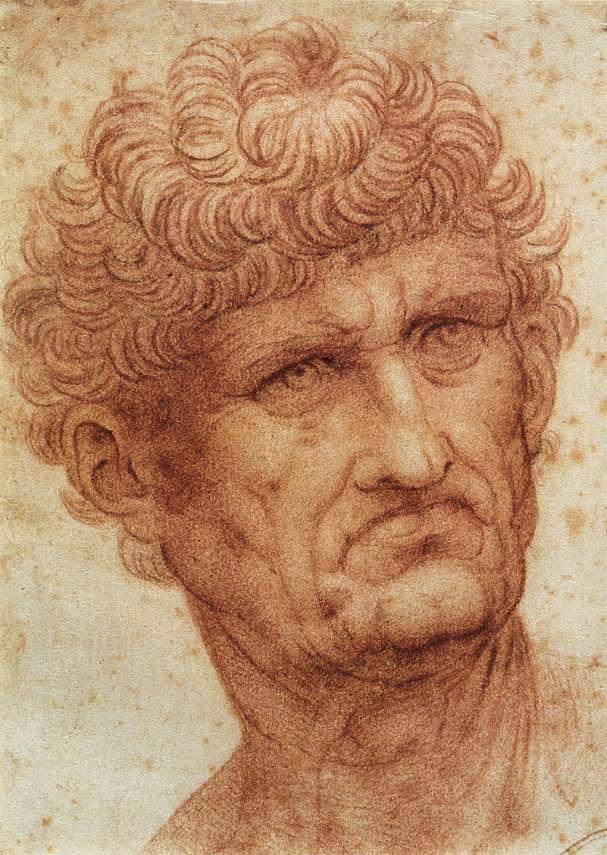 Head of a Man Drawing by Leonardo da Vinci Fine Art America