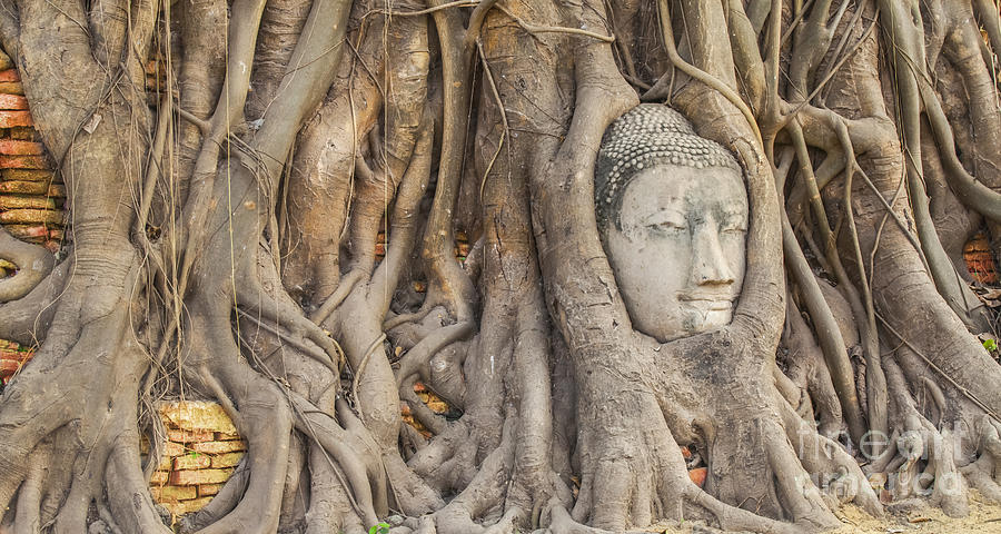 Buddha Photograph - Head of Sandstone Buddha #1 by Anek Suwannaphoom