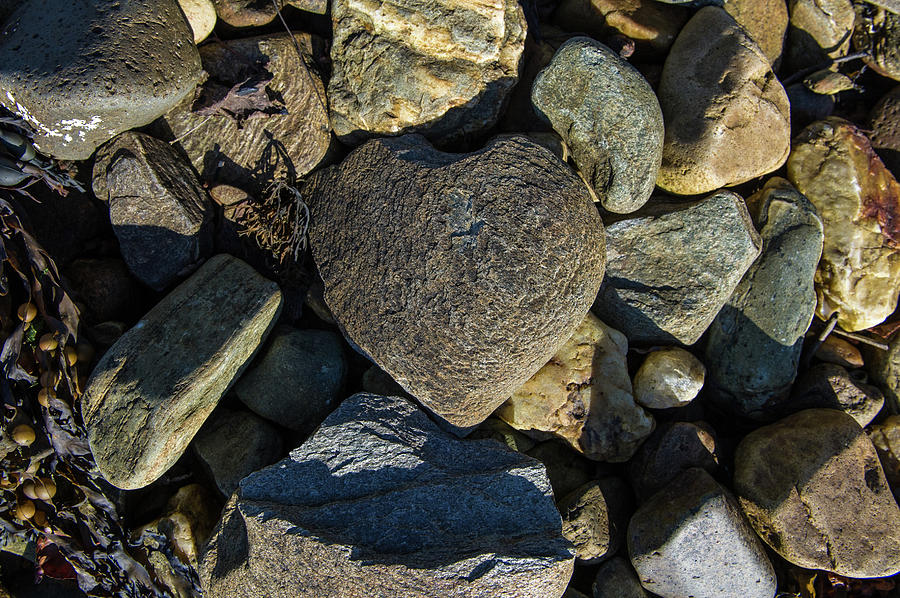 Heart shaped stone Loch Fyne  #2 Photograph by Gary Eason