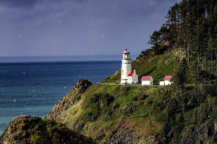 Heceta Head Historic Oregon Lighthouse #1 Photograph by Teri Virbickis