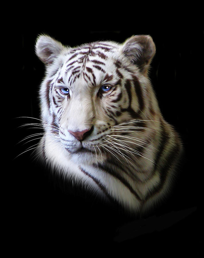 Tiger Digital Art - Hector #1 by Julie L Hoddinott