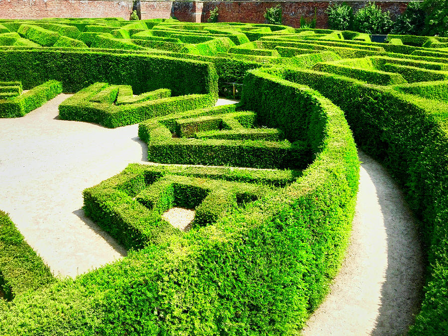 Hedge Maze Photograph by Ronald Watkins - Fine Art America