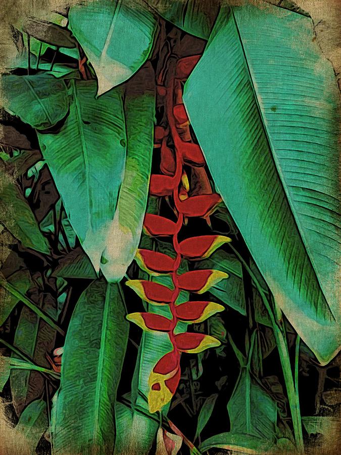 Heliconia Rostrata #1 Photograph by Mark J Dunn