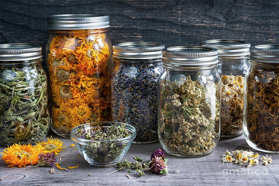Herbs in jars 1 Photograph by Elena Elisseeva