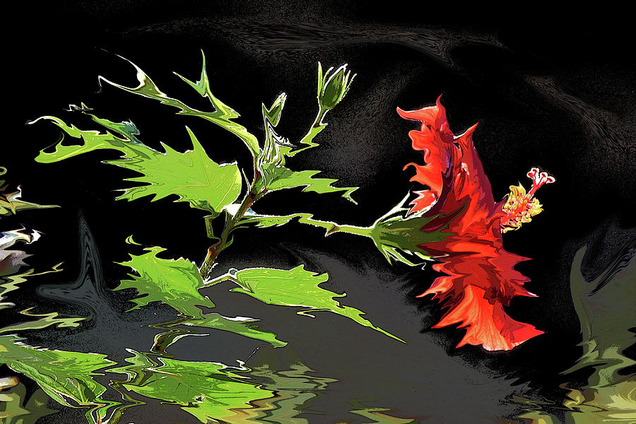 Hibiscus Dark and Light V Photopainting 1 Photograph by Linda Brody