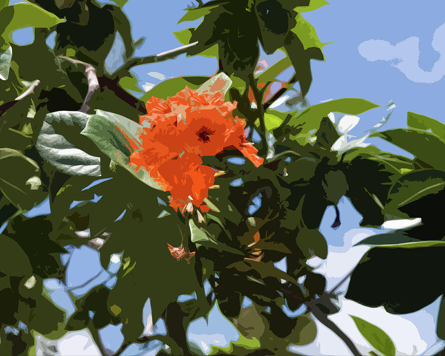 Hibiscus Rosasinensis With Fruit On The Indian River In Florida Painting