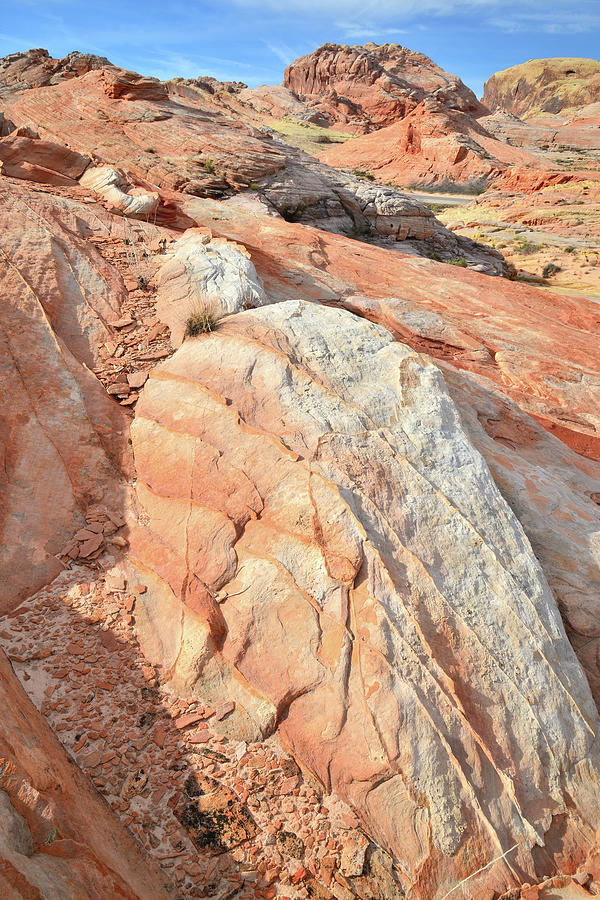 High Above Wash 3 in Valley of Fire #8 Photograph by Ray Mathis
