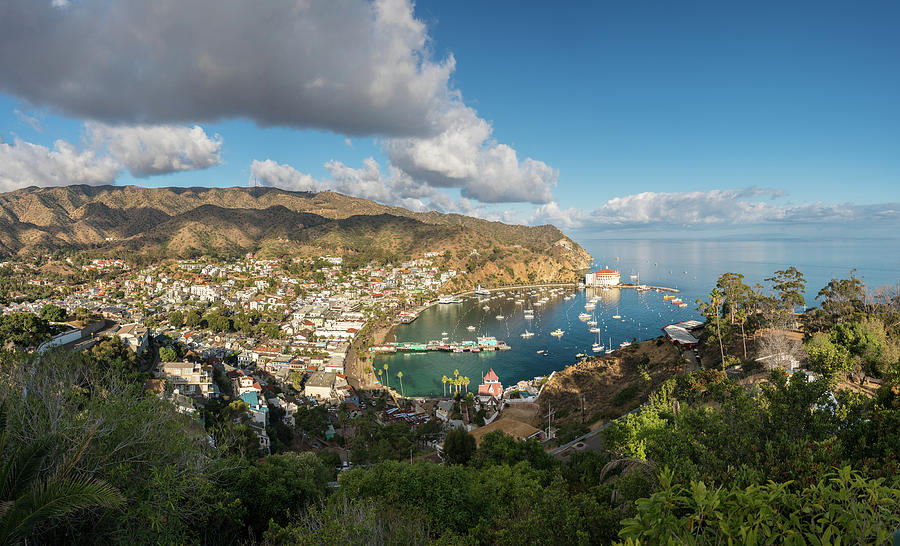 High definition panorama of Avalon on Catalina Island #1 Photograph by Steven Heap