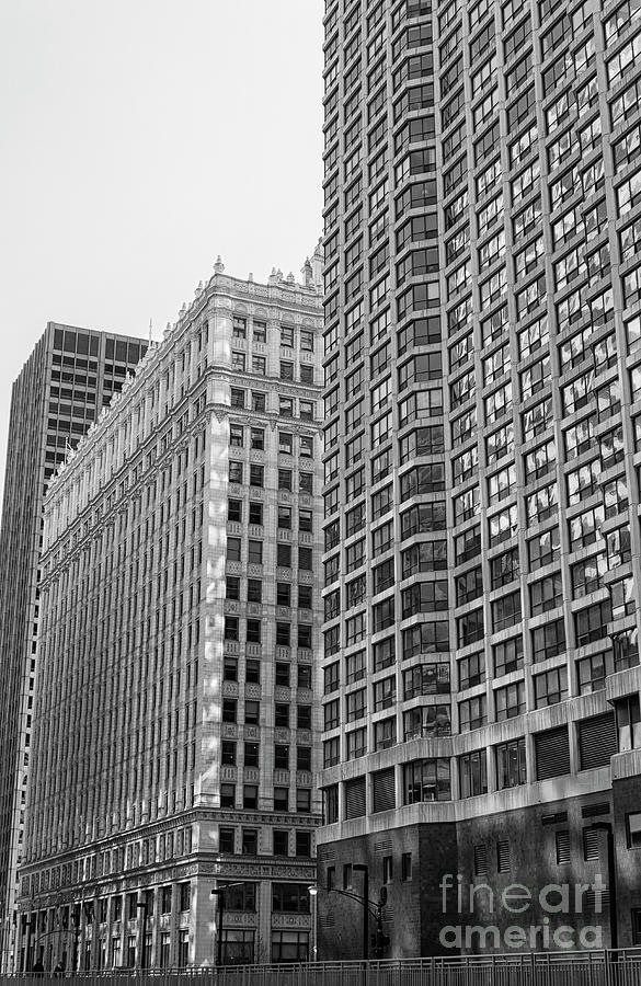 High rise buildings in Chicago Photograph by Patricia Hofmeester