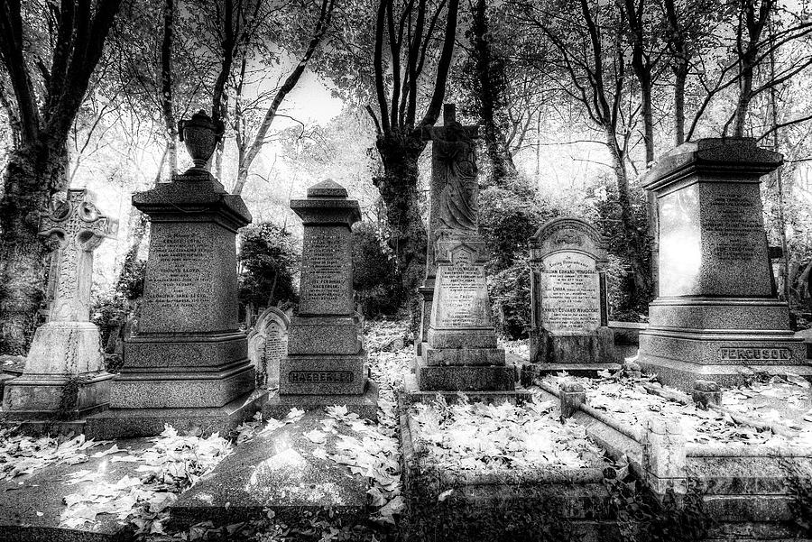 Highgate Cemetery London #1 Photograph by David Pyatt