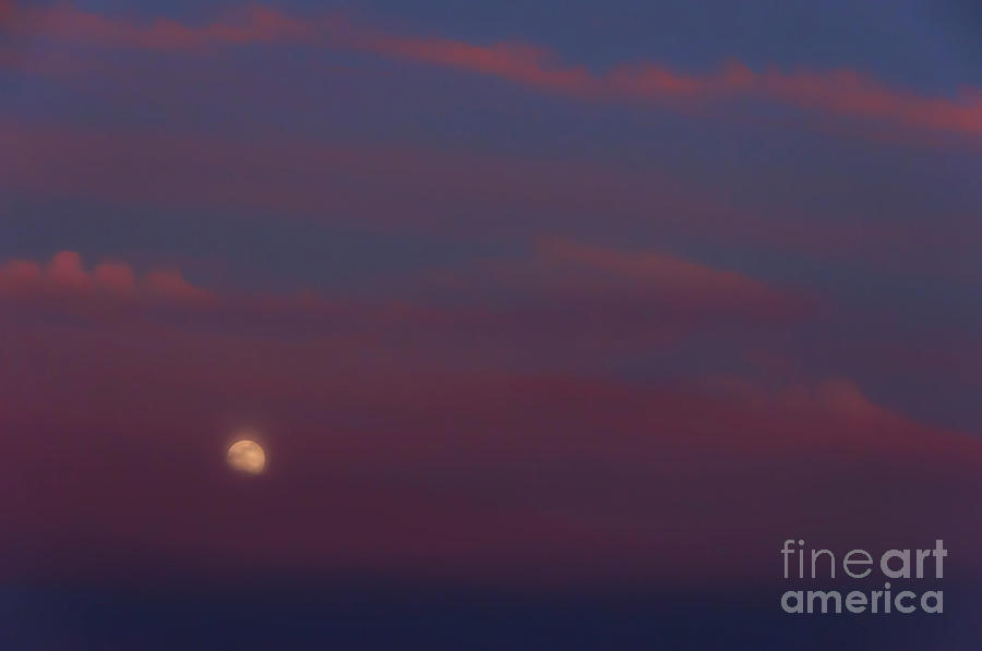 Highland Stawberry Moon  #1 Photograph by Thomas R Fletcher