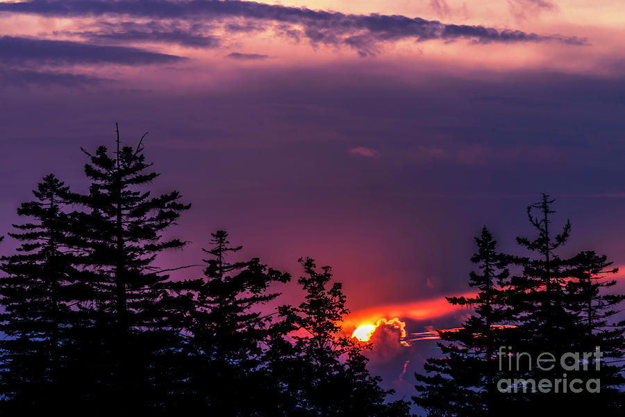 Highland Sunset #1 Photograph by Thomas R Fletcher