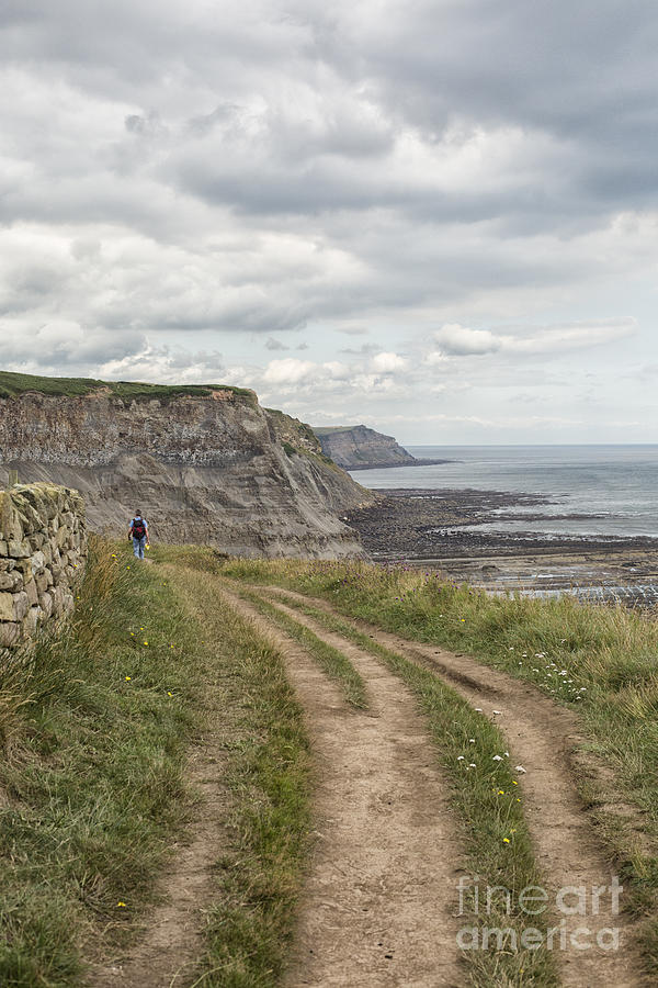Male hiker on coastal path in North Yorkshire Photograph by Patricia Hofmeester