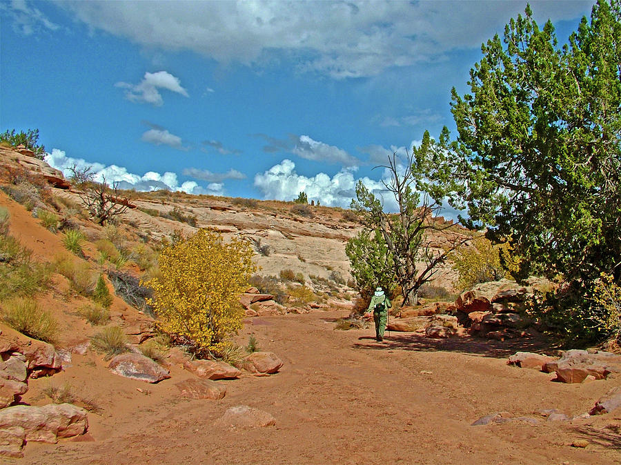Hiking in Bucktank Draw off Highway 89 North, Utah #1 Photograph by Ruth Hager