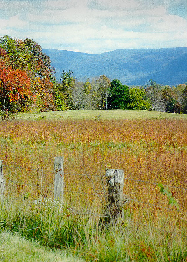 Hills of Tennessee #1 Photograph by Debbie Karnes