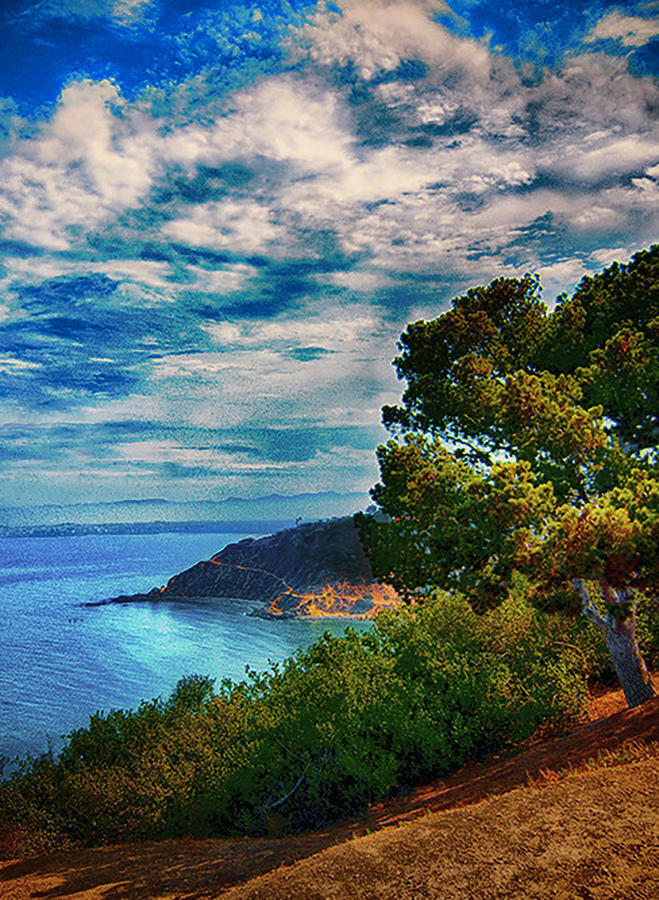 Hillside Ocean View #1 Photograph by Joseph Hollingsworth