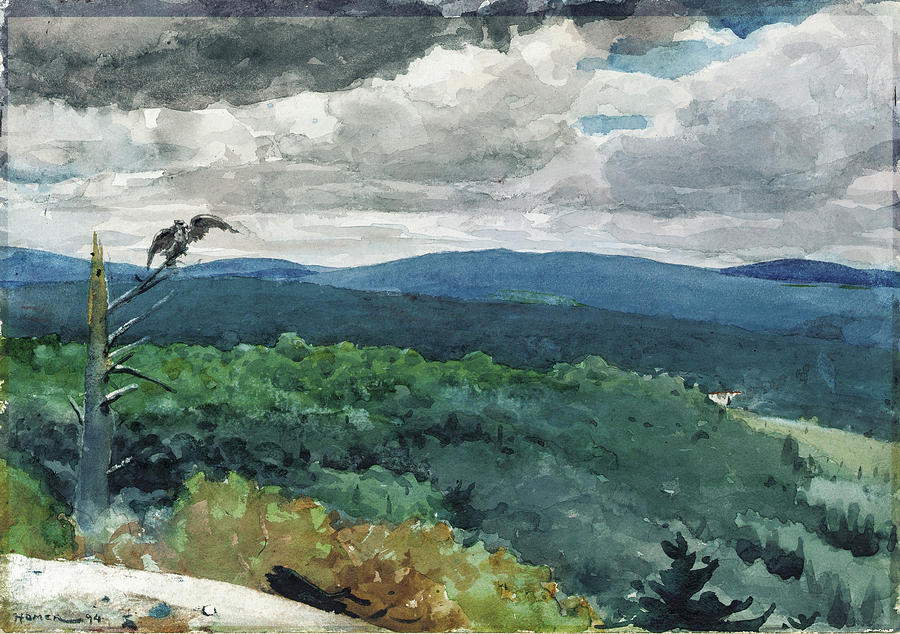 Hilly Landscape Drawing by Winslow Homer