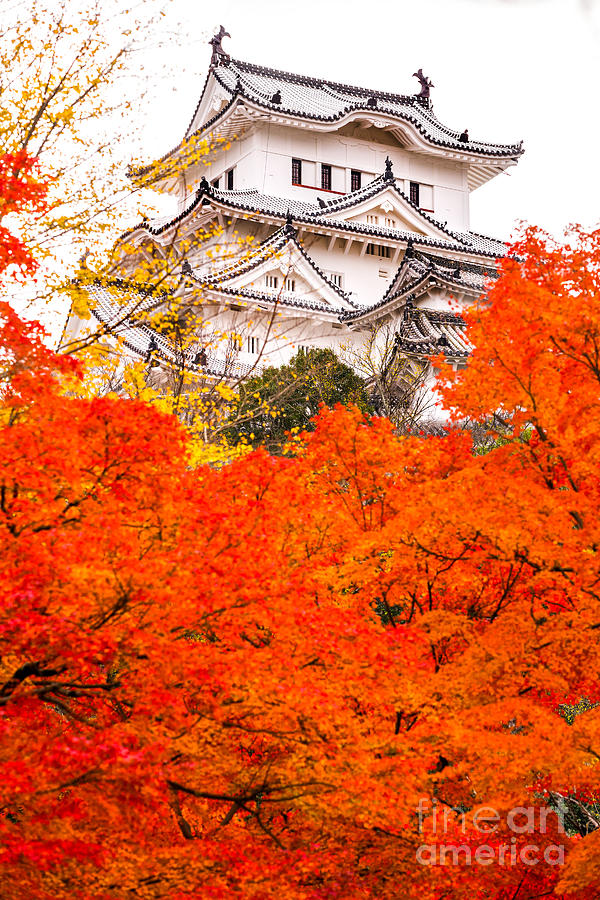 Himeji Castle - Japan #1 Photograph by Luciano Mortula