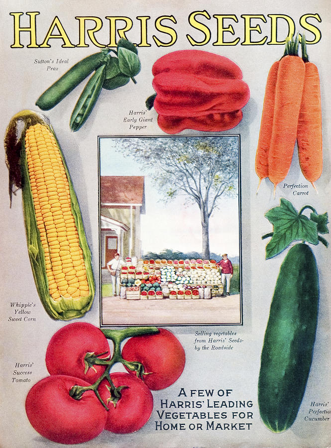 Historic Harris Seeds Catalog Photograph by Remsberg Inc - Fine Art America