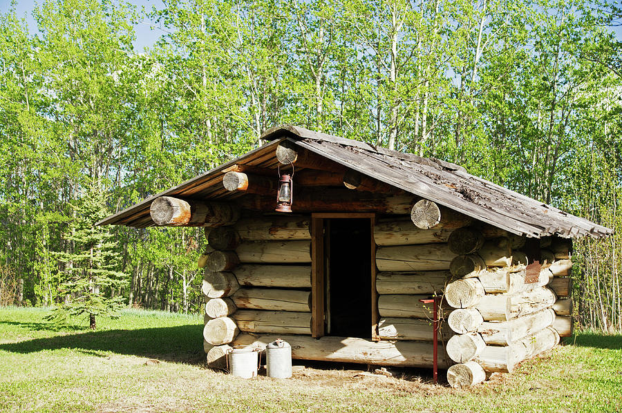 Historic Log Trappers Cabin Photograph by Robert Braley