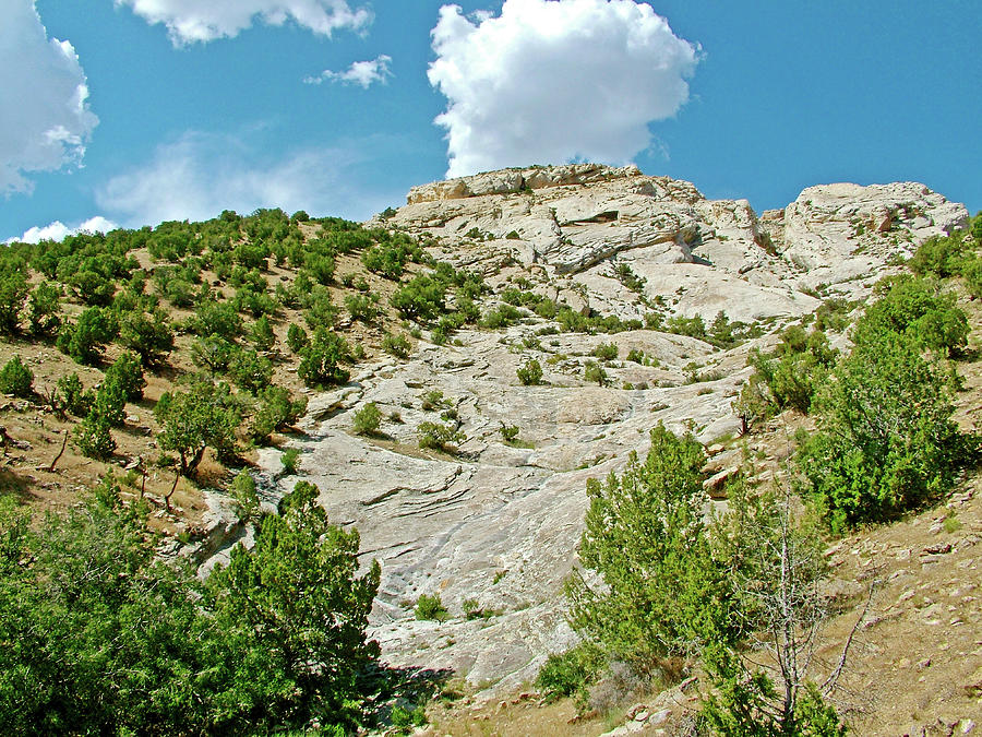 Hog Canyon Trail on Tour of the Tilted Rocks in Dinosaur National Monument, Utah #1 Photograph by Ruth Hager