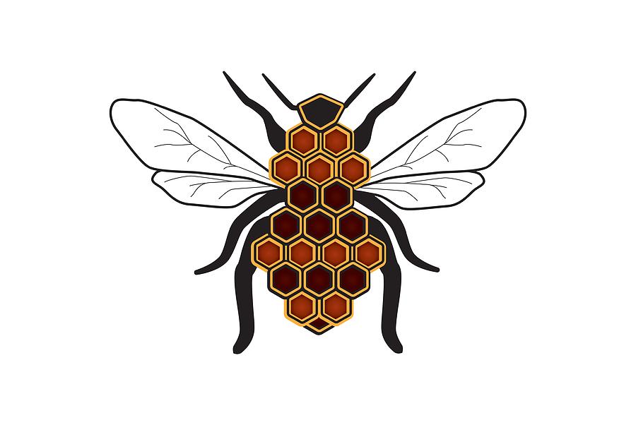 Honeycomb Bee Sans Border Digital Art by Pelo Blanco Photo